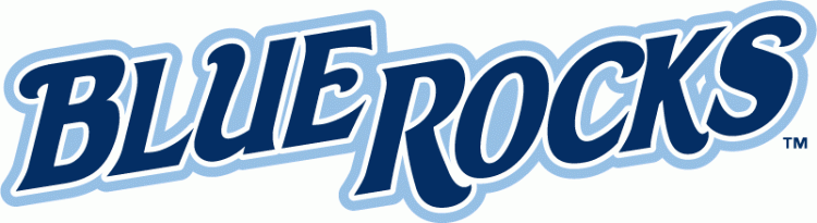 Wilmington Blue Rocks 2010-pres wordmark logo iron on transfers for T-shirts